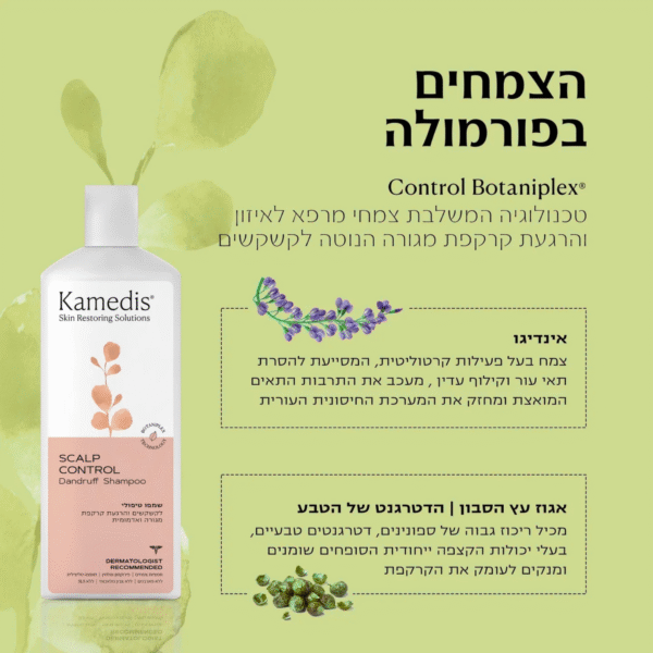 ⁦SCALP CONTROL שמפו טיפולי נגד קשקשים - 5 יחידות | kamedis קמדיס | 1000 מ"ל⁩ – תמונה ⁦2⁩