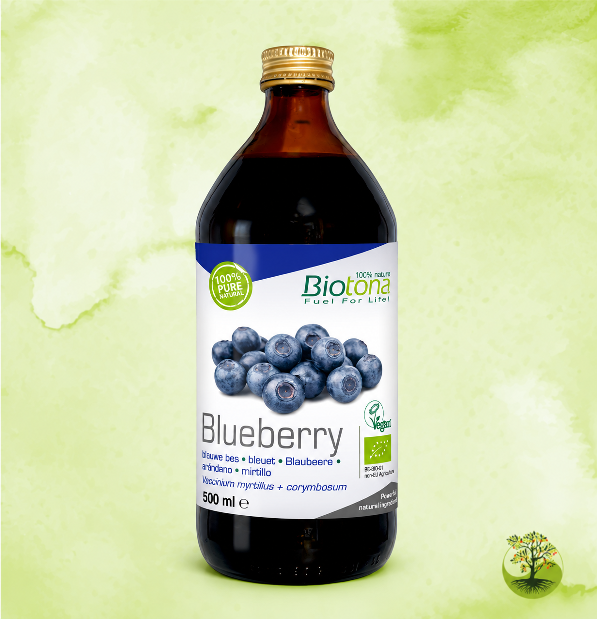 תרכיז אוכמניות אורגני Blueberry | ביו טונה BIOTONA | מ"ל 500